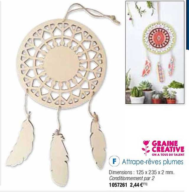 attrape-rêves plumes graine créative