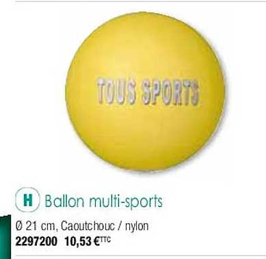 ballon multi-sports