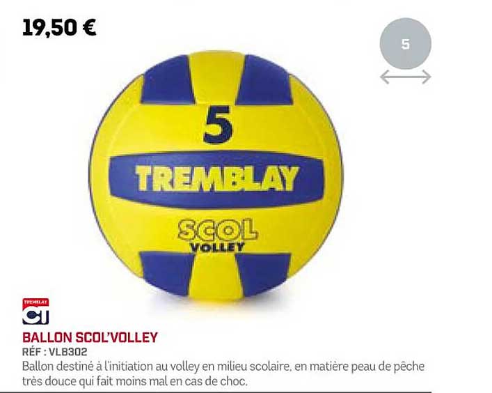 Ballon Scol'volley