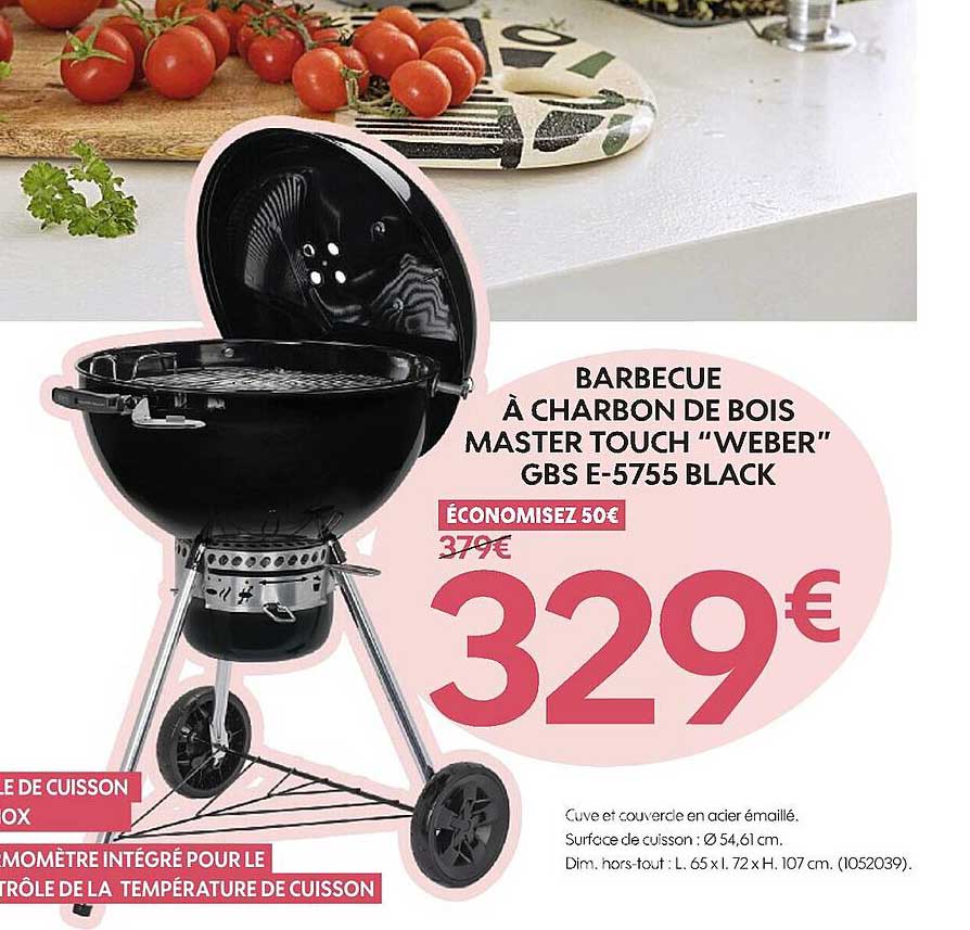 barbecue à charbon de bois master touch weber gbs e-5755 black
