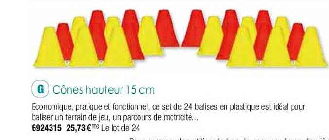 cônes hauteur 15 cm