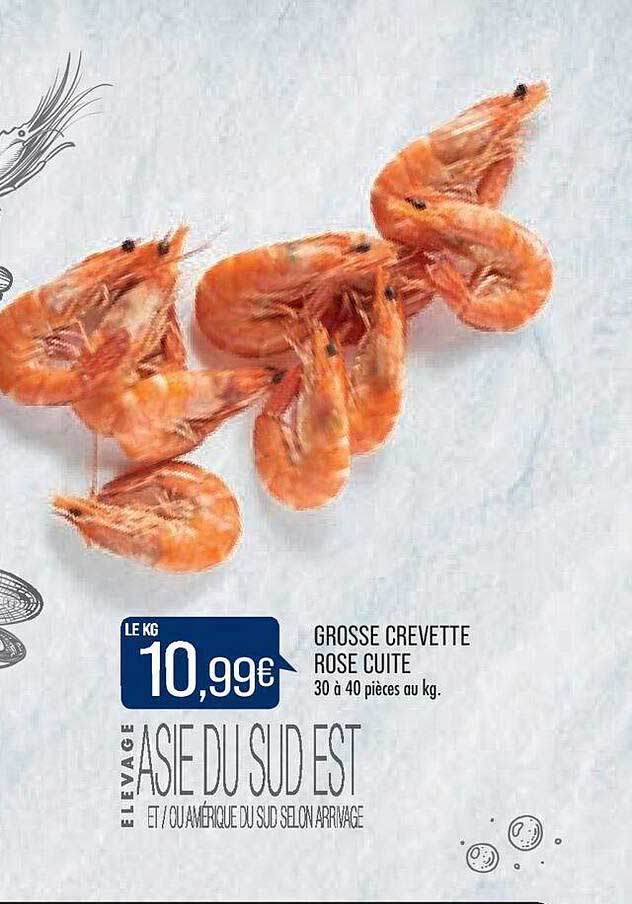 grosse crevette rose cuite