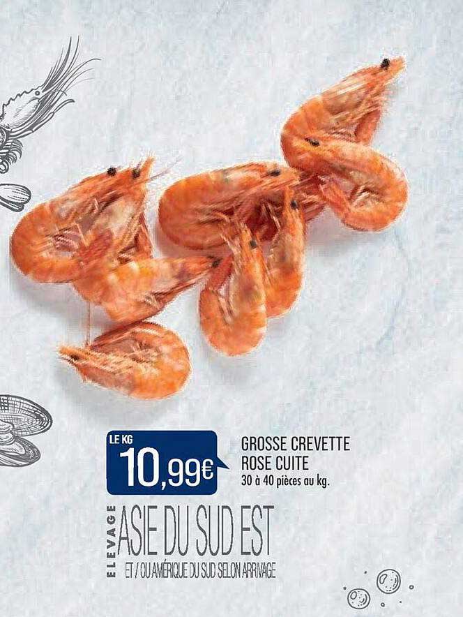 grosse crevette rose cuite