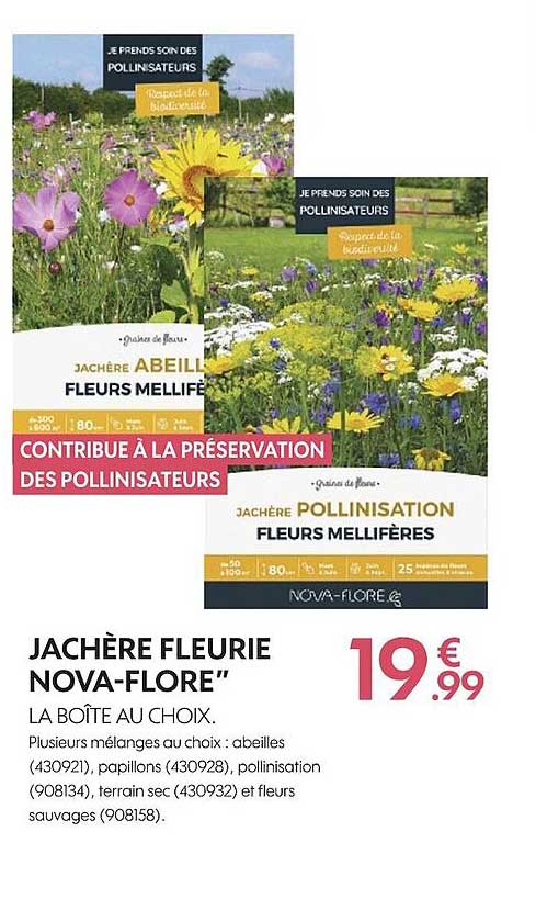 jachère fleurie nova-flore