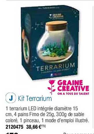 kit terrarium graine créative