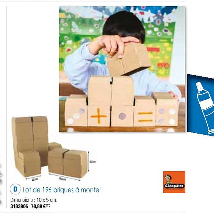 lot de 196 briques à monter cléopâtre