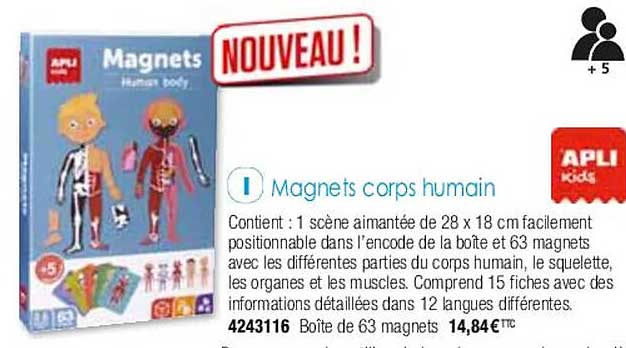 magnets corps humain apli kids