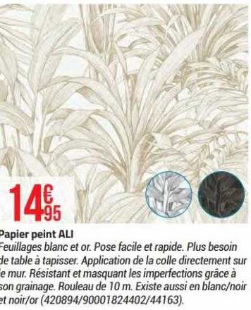 papier peint ali