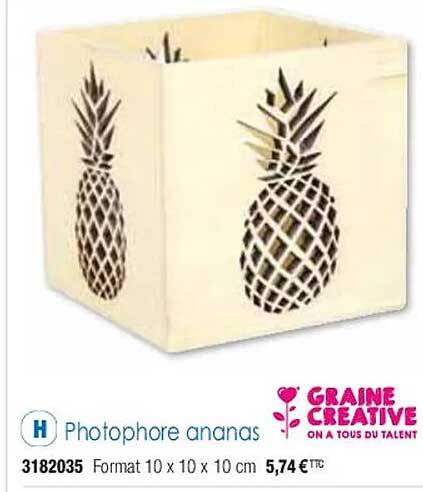 photophore ananas graine créative