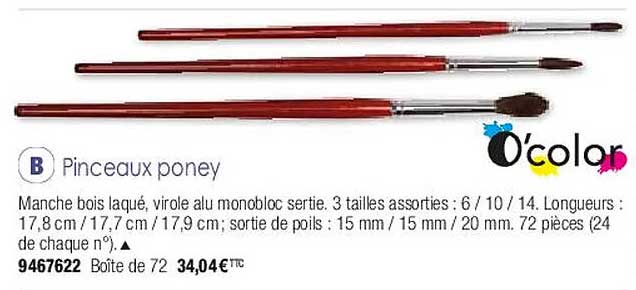 pinceaux poney o'color