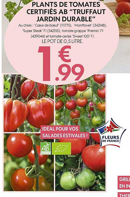 plants de tomates certifiés ab truffaut jardin durable
