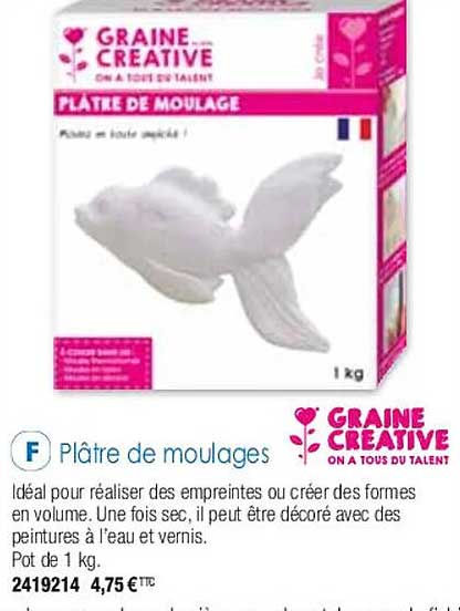 plâtre de moulages graine créative