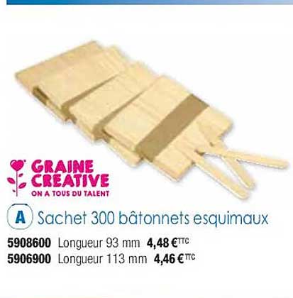 sachet 300 bâtonnets esquimaux graine créative