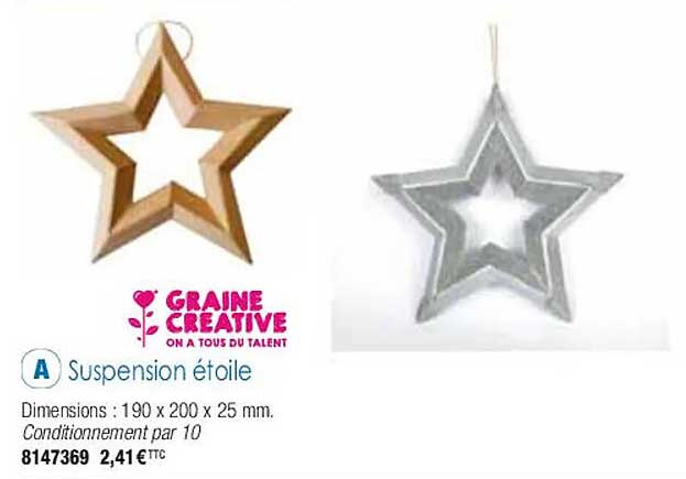 suspension étoile graine créative