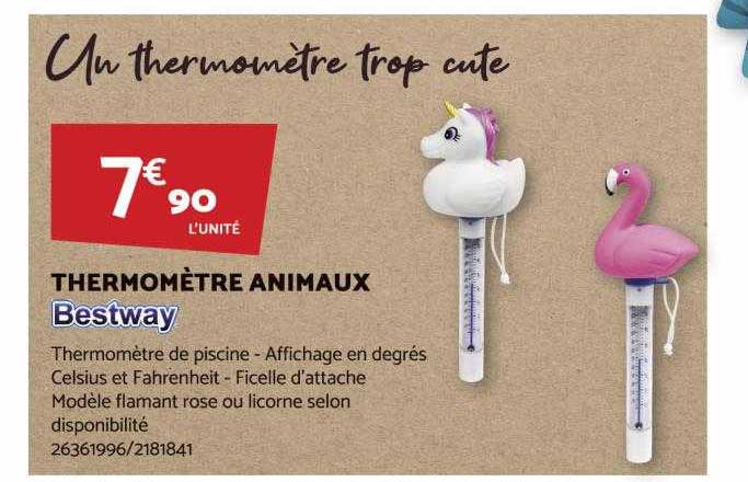 Thermomètre Animaux Bestway