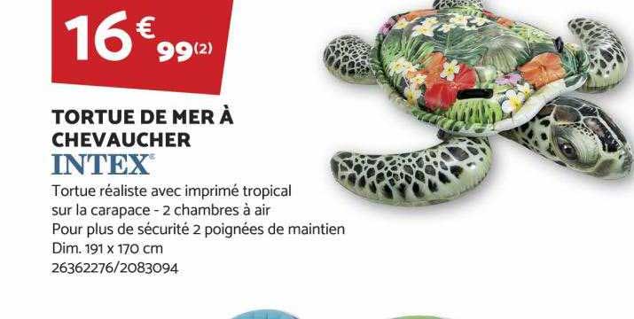 tortue de mer à chevaucher intex
