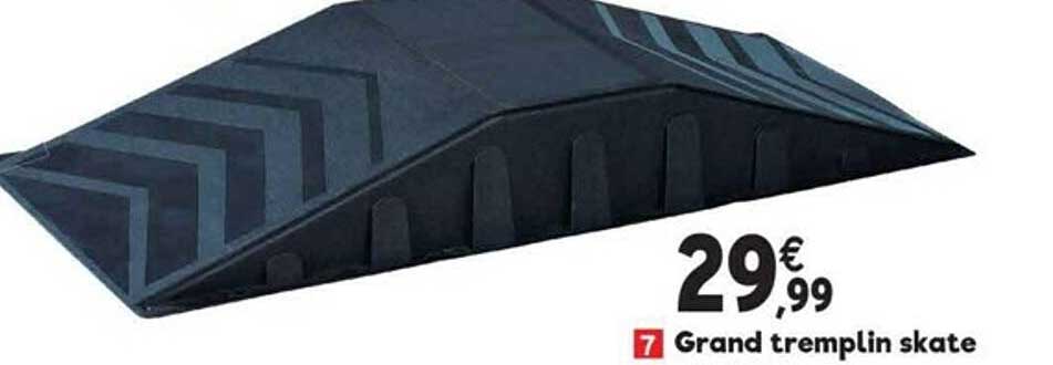 grand tremplin skate