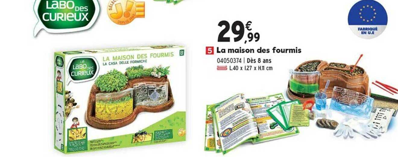 la maison des fourmis