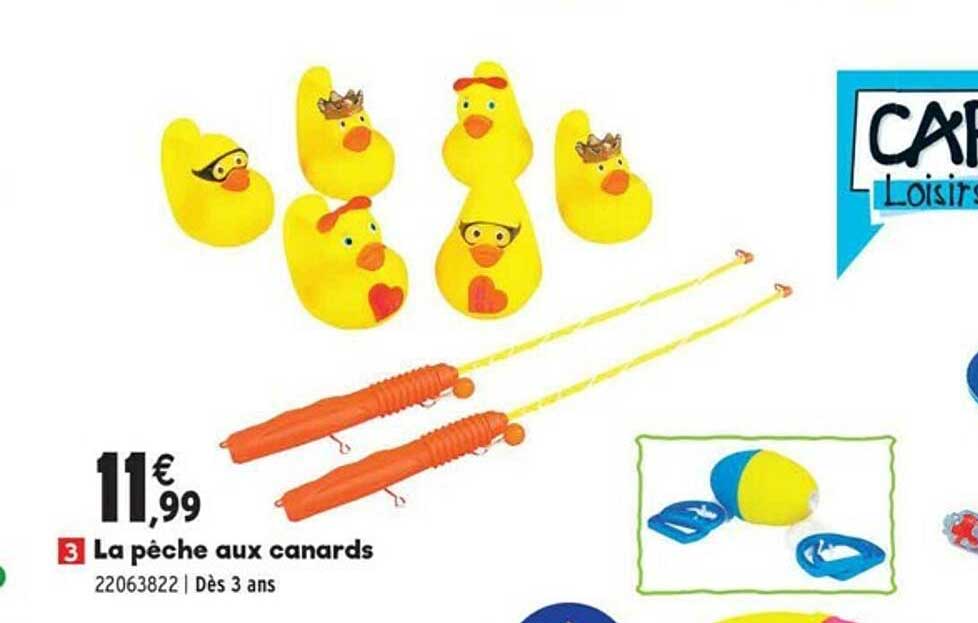 la peche aux canards
