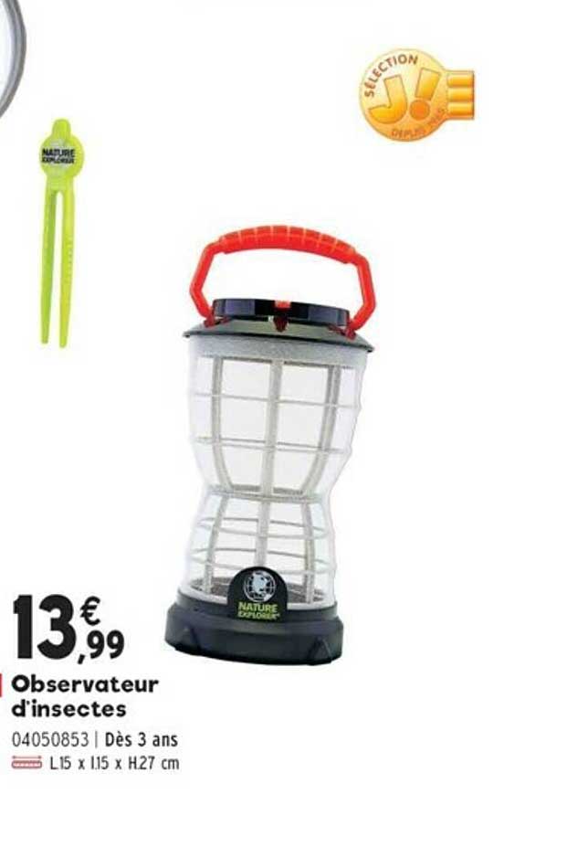 Observateur D'insectes