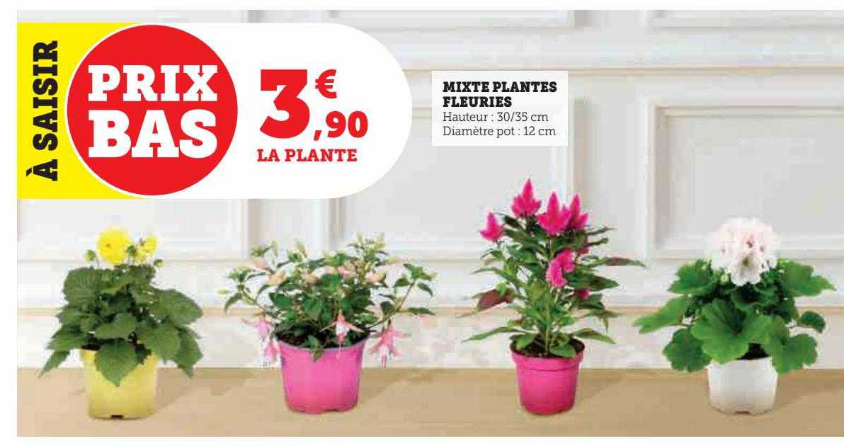mixte plantes fleuries