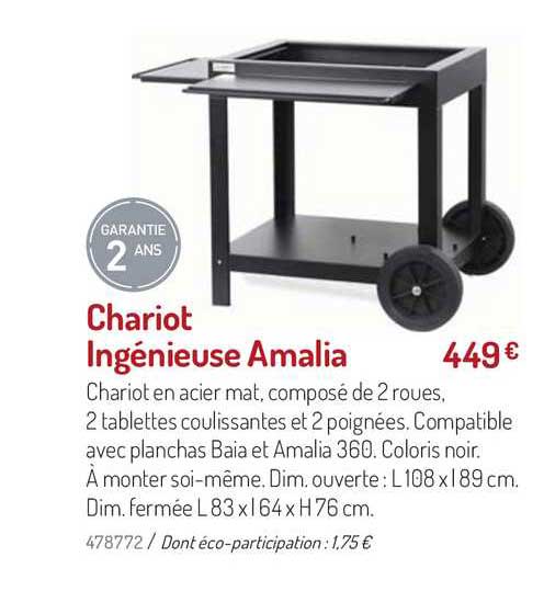 chariot ingénieuse amalia
