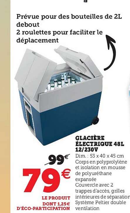 glacière électrique 48 l 12-230v