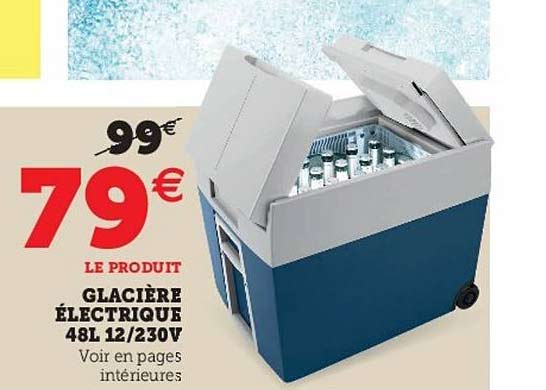glacière électrique 48l 12-230 v
