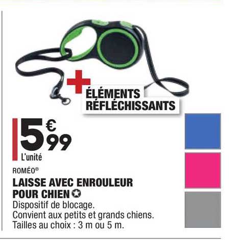 laisse avec enrouleur pour chien roméo