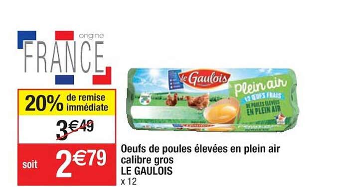 oeufs de poules élevées en plein air calibre gros le gaulois