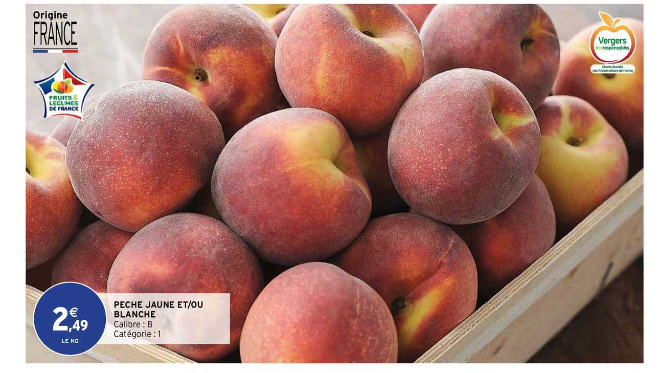 Pêche Jaune Et-ou Blanche