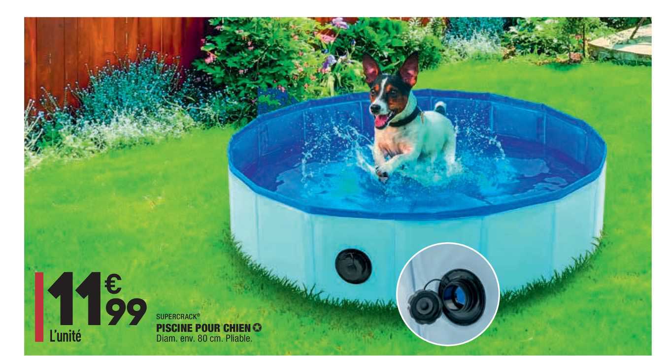 Piscine Pour Chien Supercrack