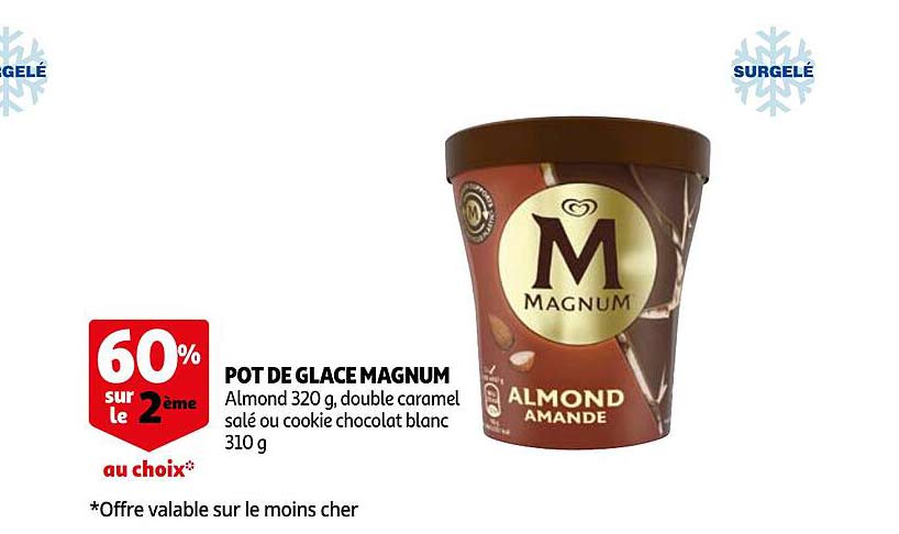 Pot De Glace Magnum
