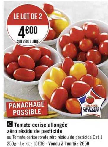 tomate cerise allongée zéro résidu de pesticide