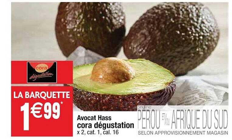 Avocat Hass Cora Dégustation