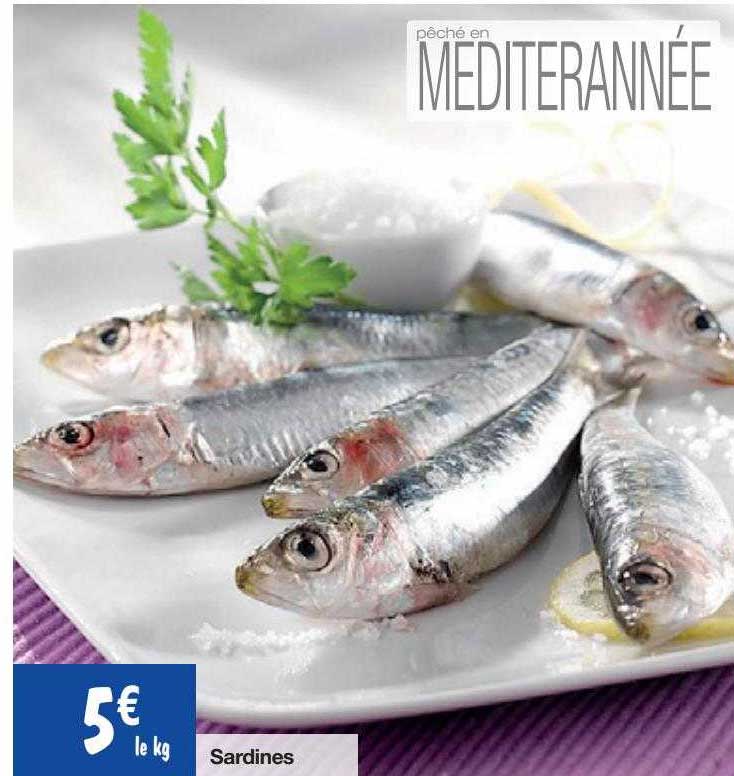 Sardines