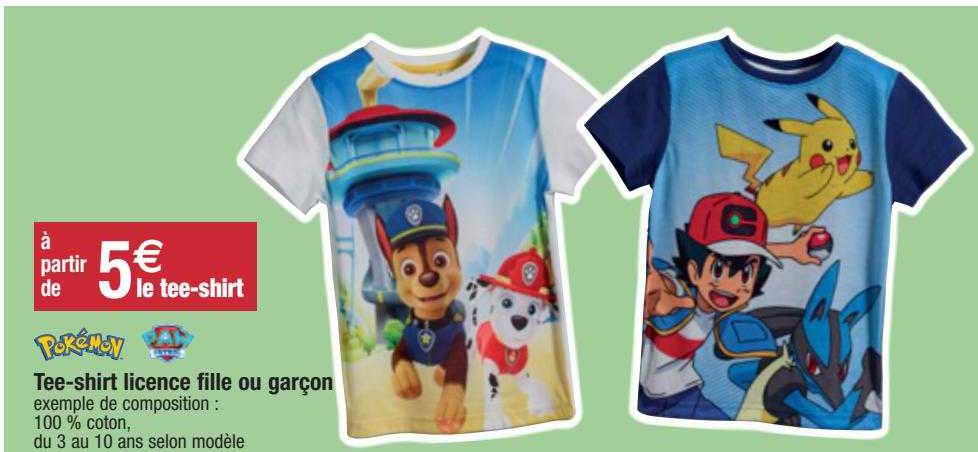 tee-shirt licence fille ou gargon pokémon, paw patrol