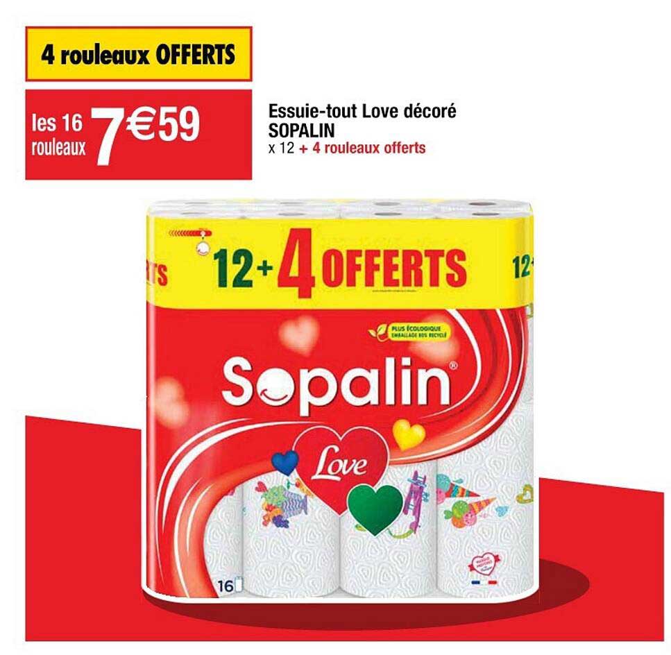 essuie-tout love décoré sopalin