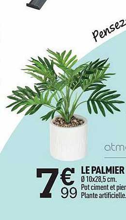 Le Palmier