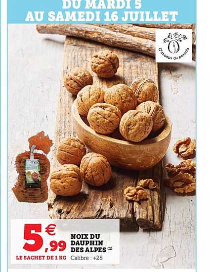 noix du dauphin des alpes