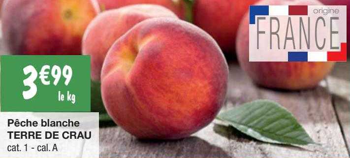 pêche blanche terre de crau