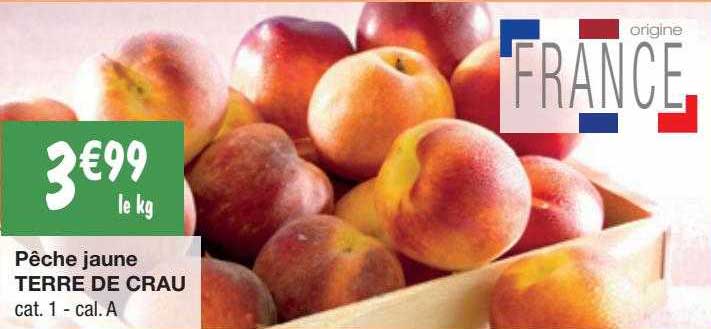 pêche jaune terre de crau