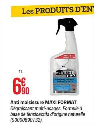 anti moisissure maxi format