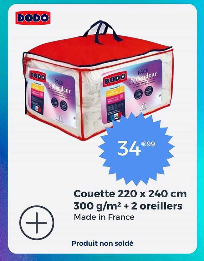 coutte 220 c 240 cm 300 g/m2 + 2 oreillers