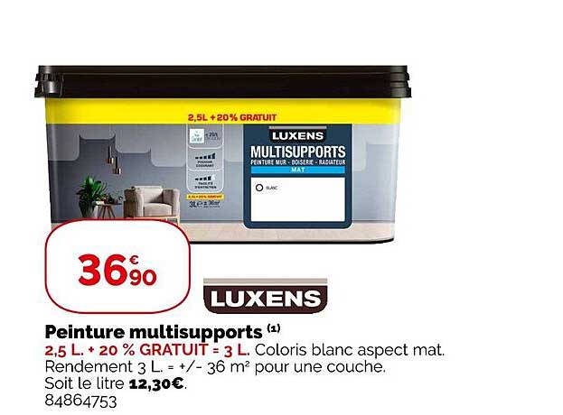 Peinture Multisupports Luxens