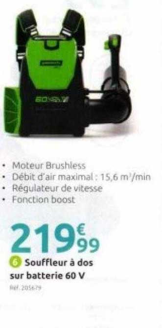 Souffleur à Dos Sur Batterie 60v Greenworks