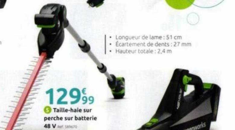 taille-haie sur perche sur batterie 48v