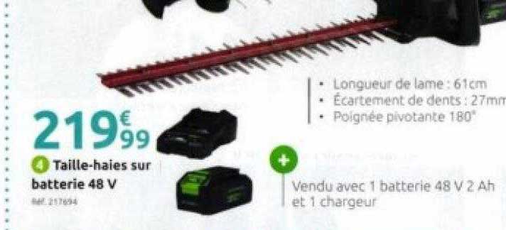 taille-haies sur batterie 48v