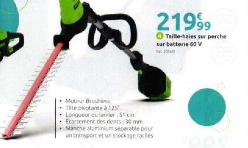 taille-haies sur perche sur batterie 60v greenworks