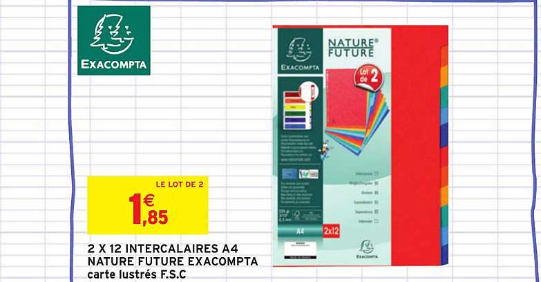 2 x 12 intercalaire a4 nature future exacompta